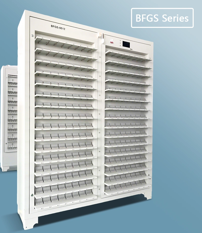 The BFGS (Battery Formation and Grading System) entered mass production